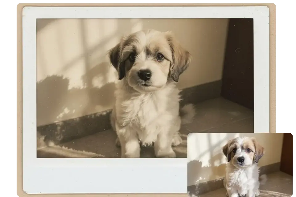 Polaroid family photo example